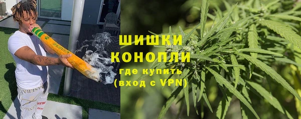 трава Арсеньев